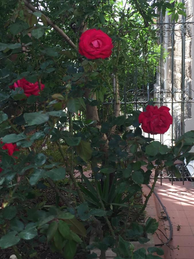 Villa Serra B&B Iun E6769 Oristano Dış mekan fotoğraf